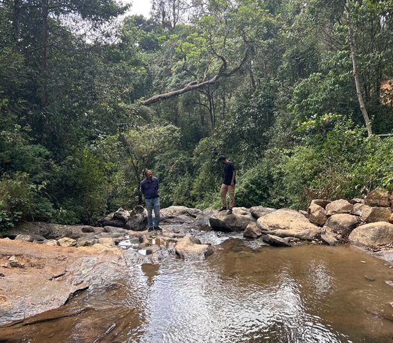 Nature Walks and Treks